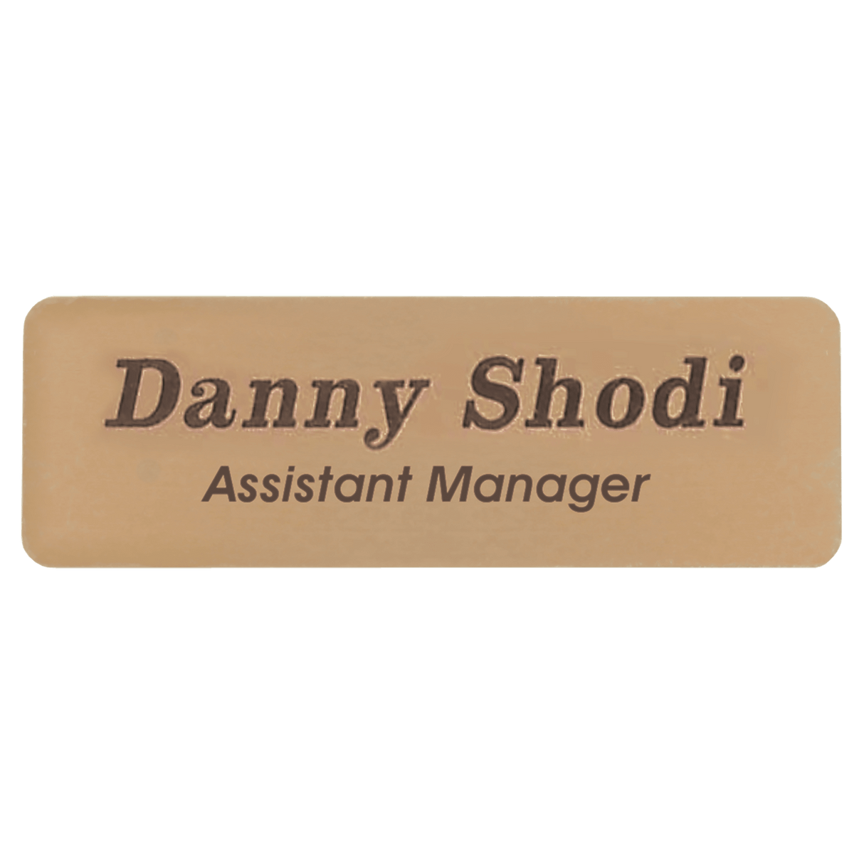 3" x 1" Gold Brass Name Badge Plate