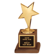 3 1/2" x 6 3/4" Modern Star Casting in Goldtone Finish on Walnut Finish Base with Black Laserable Plate