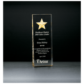 2 7/8" x 8" Constellation Series Etched Star with Gold Paint-Filled and Mirrored Bottom Acrylic