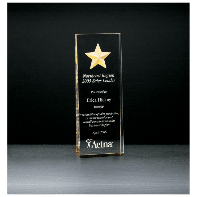 2 7/8" x 8" Constellation Series Etched Star with Gold Paint-Filled and Mirrored Bottom Acrylic