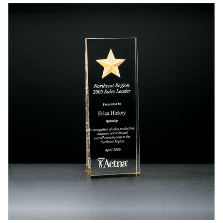 2 7/8" x 8" Constellation Series Etched Star with Gold Paint-Filled and Mirrored Bottom Acrylic