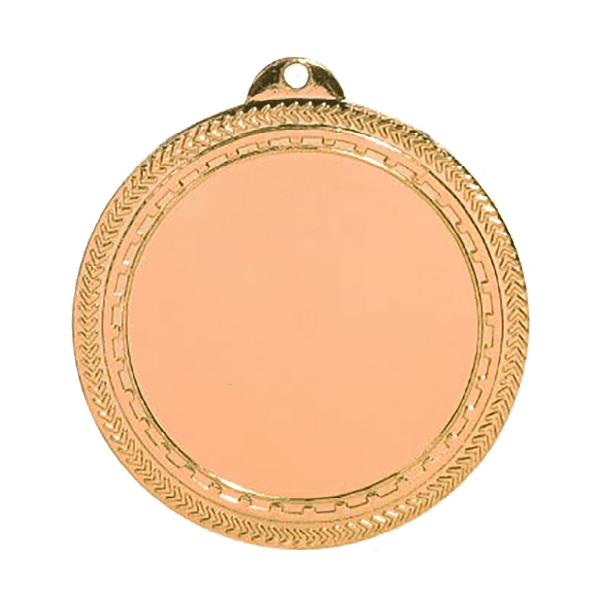 2 3/4" 2" Insert Holder Laserable BriteLazer Medal