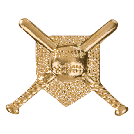 Gold Crossed Bats Metal Chenille Letter Insignia