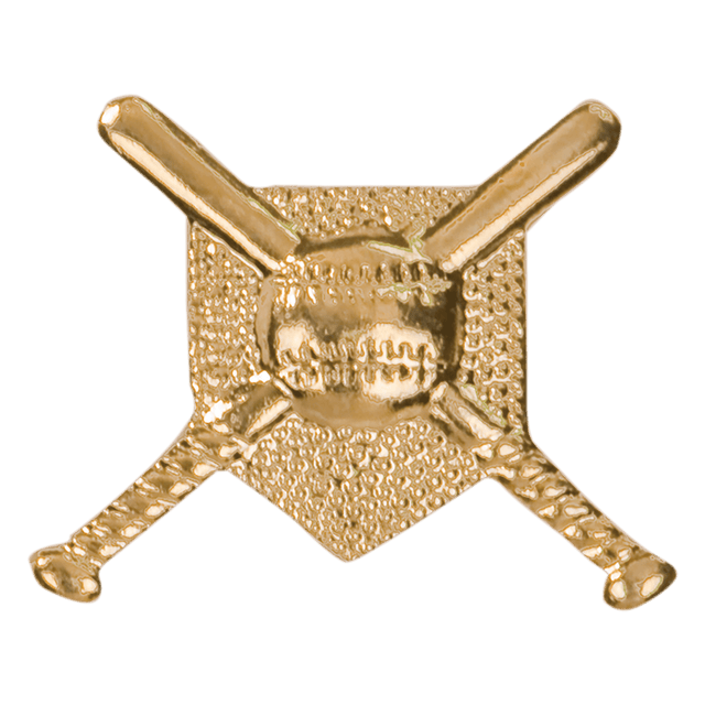 Gold Crossed Bats Metal Chenille Letter Insignia