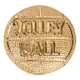 Gold Volleyball Metal Chenille Letter Insignia