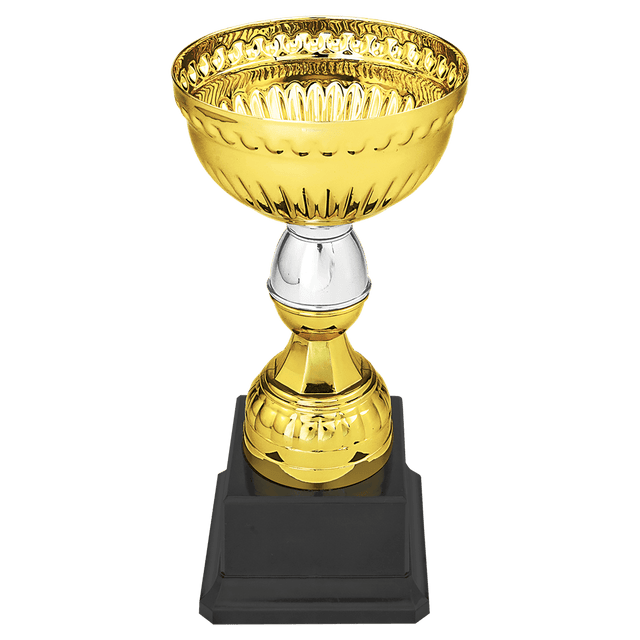 7" Gold & Silver Metal Cup with Plastic Stem and Base