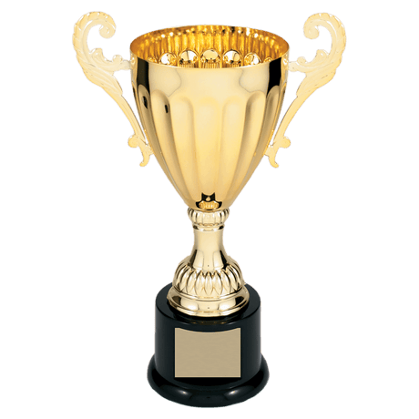 Gold 9 3/4" Completed Metal Cup Trophy on Plastic Base