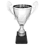 Silver 11" Completed Metal Cup on Plastic Base