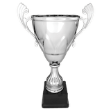 16 3/4" Completed Metal Cup on Plastic Base