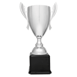 Silver Completed Metal Cup Trophy on Black Royal 2 22" Piano Finish Base