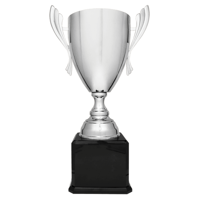 Silver Completed Metal Cup Trophy on Black Royal 2 24 3/4" Piano Finish Base