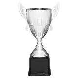Silver Completed Metal Cup Trophy on Black Royal 22" Piano Finish Base