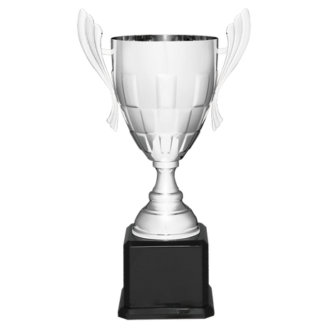 Silver Completed Metal Cup Trophy on Black Royal 22" Piano Finish Base