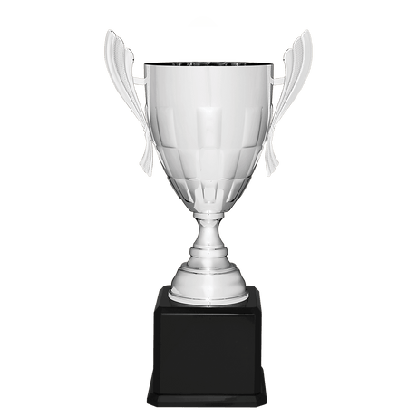 Silver Completed Metal Cup Trophy on Black Royal 24 3/4" Piano Finish Base
