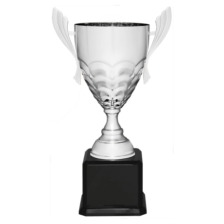 Silver Completed Metal Cup Trophy on Black Royal 21" Piano Finish Base