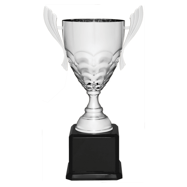 Silver Completed Metal Cup Trophy on Black Royal 21" Piano Finish Base