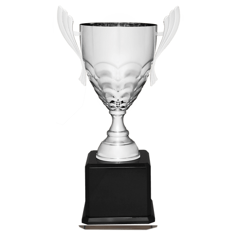 Silver Completed Metal Cup Trophy on Black Royal 23 1/2" Piano Finish Base