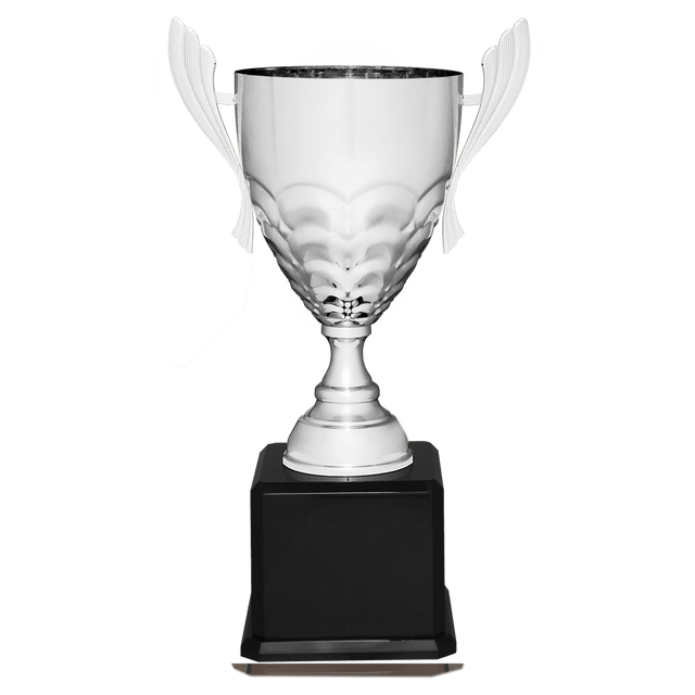 Silver Completed Metal Cup Trophy on Black Royal 23 1/2" Piano Finish Base