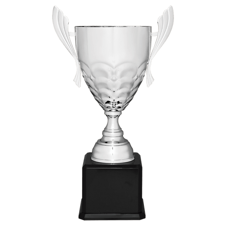 Silver Completed Metal Cup Trophy on Black Royal 25 1/4" Piano Finish Base