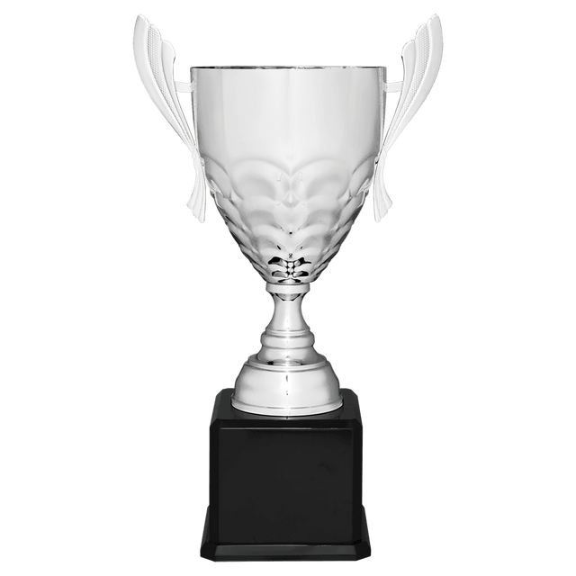 Silver Completed Metal Cup Trophy on Black Royal 25 1/4" Piano Finish Base