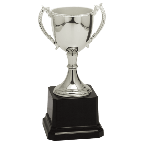 Silver 6 3/4" Completed Zinc Cup Trophy