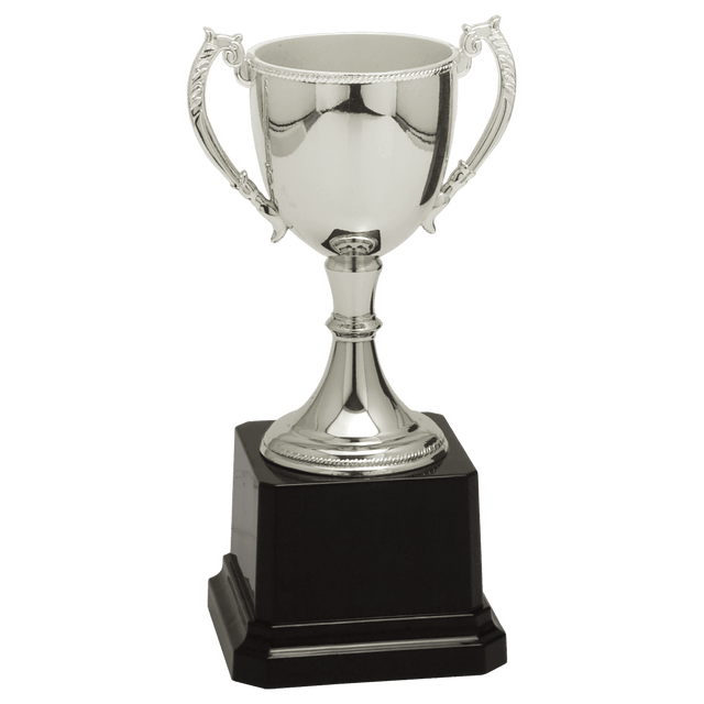 Silver 6 3/4" Completed Zinc Cup Trophy