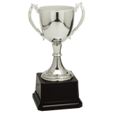 8 3/4" Completed Zinc Cup Trophy