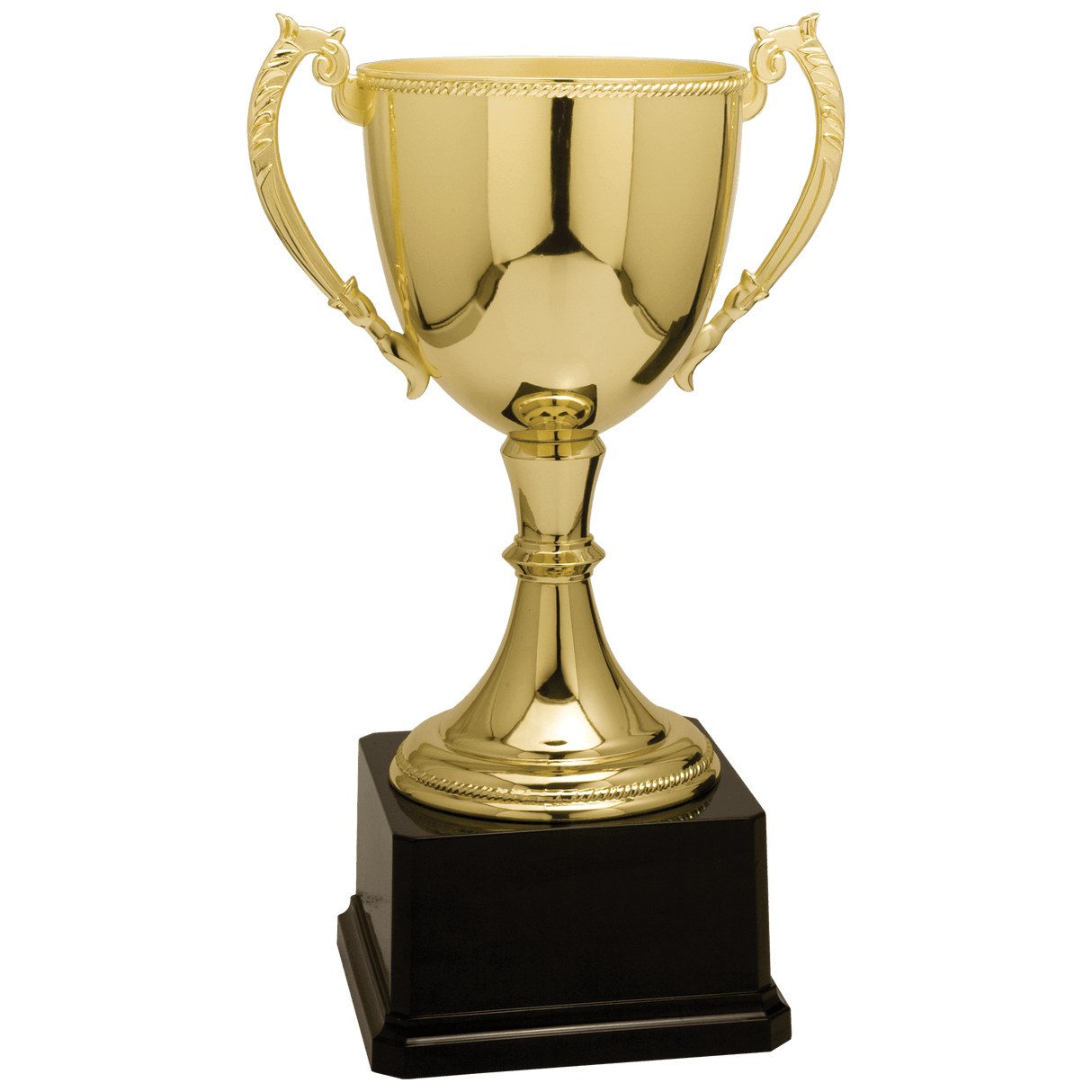 11" Completed Zinc Cup Trophy