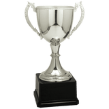 Silver 11" Completed Zinc Cup Trophy