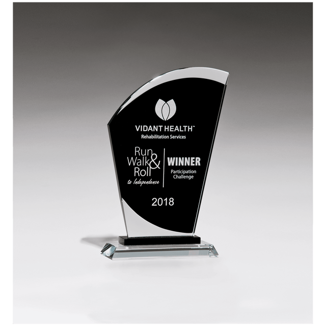 5 1/2" x 8 3/4" Sail Shaped Glass Award with Black Center