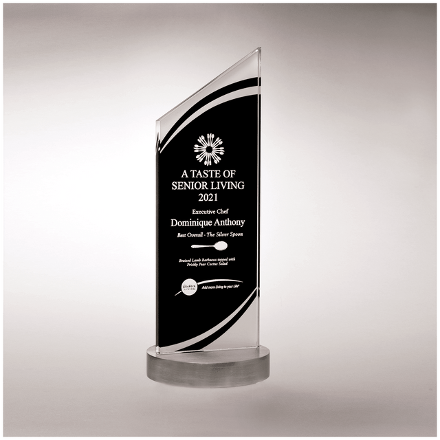 3 1/2" x 11 7/8" x 3/8" Thick Zenith Series Black Silkscreened Glass with Frosted Accents, Heave Aluminum Base