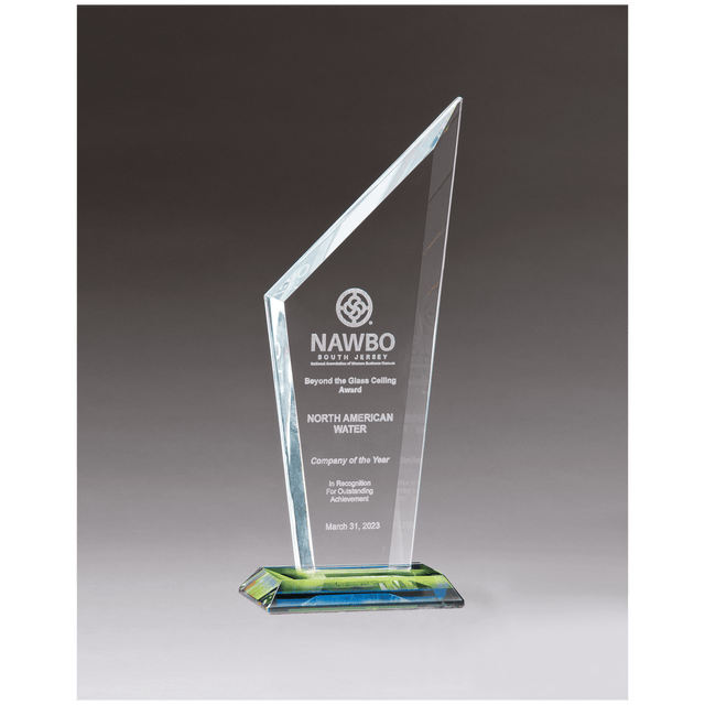 3 5/8" x 9 5/8" x 3/8" Thick Zenith Series Clear Glass with Prism-Effect Base