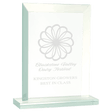 7" Rectangle Jade Glass Award