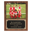 12" x 15" American Walnut Finish Photo Plaque with Black Brass Plate-Holds 8" x 10" Photo