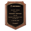 8" x 10 1/2" American Walnut Plaque with Gold Border Laserable Black Brass Plate