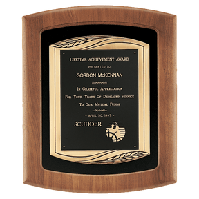 Walnut Frame with Black Velour Background and Back Laser Engravable Plate in an Antique Bronze 14" x 17" American Finished Frame Casting