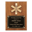 9" x 12" Walnut Plaque with Gold EMT Star of Life and Black Brass Plate