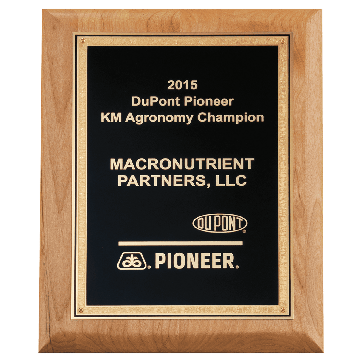 8" x 10" Natural Alder Wood Plaque with Black Textured Gold Florentine Bordered LaserFX Plate